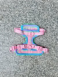 Image 4 of Kai Colourblock Harness