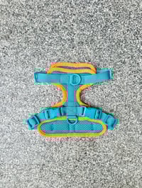 Image 5 of Kai Colourblock Harness