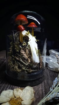 Image 2 of Rabbit Skull and Mushroom Glass Dome