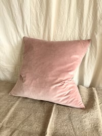 Image 1 of 488 - EMPEROR'S WING - hand dyed velvet with linen back