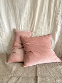 Image 2 of 488 - EMPEROR'S WING - hand dyed velvet with linen back