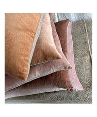 Image 4 of 488 - EMPEROR'S WING - hand dyed velvet with linen back