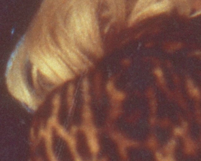 LOST HIGHWAY (digital download)