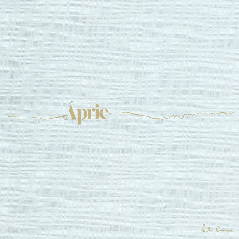 Image of Copy of SANTI CAMPOS - Áprie (CD)