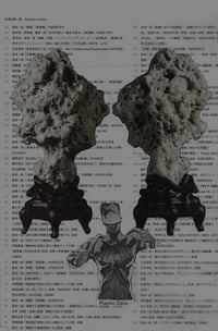 MONOGURUI y-shirt(hooded): (ANTI-CHÖD)