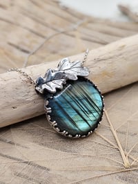 Image 2 of Forbidden Forest II