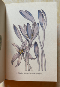 Image 8 of Flowers of the Meadow vintage King Penguin book