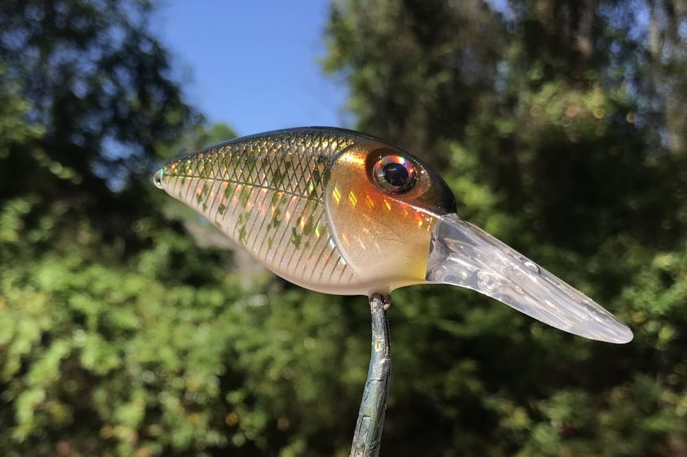  Custom Airbrushed Crankbait 8163 - Image 2
