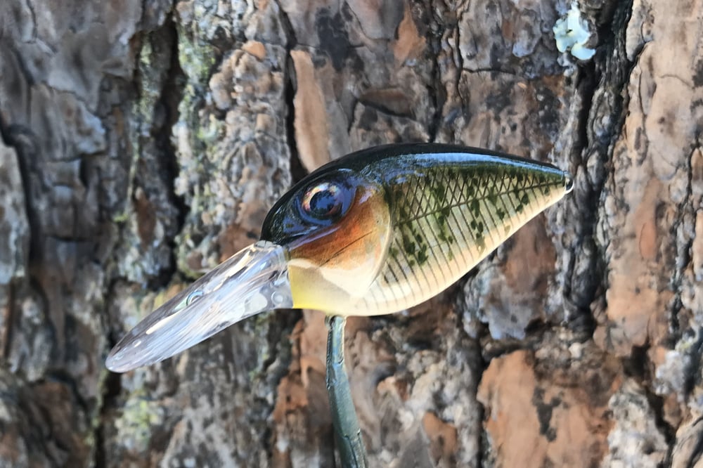  Custom Airbrushed Crankbait 8163