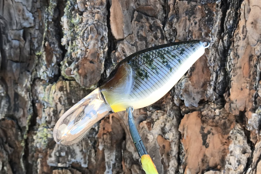  Custom Airbrushed Crankbait 8163 - Image 4