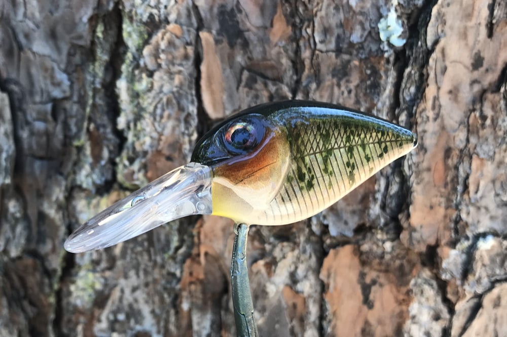  Custom Airbrushed Crankbait 8163 - Image 5