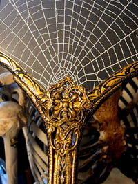 Image 3 of XLarge Vintage Ornate Hand mirror with Real Preserved Web