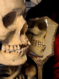 Image 7 of XLarge Vintage Ornate Hand mirror with Real Preserved Web