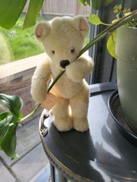 Image 1 of Little Folk soft Bear 30cm