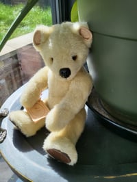 Image 3 of Little Folk soft Bear 30cm
