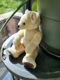 Image 4 of Little Folk soft Bear 30cm