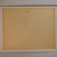 Image 2 of 1984 Spaulding & Roger’s production wolves Kari Barba 11x14