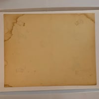 Image 2 of 1976 hand colored Spaulding & Roger’s production sheet toon cats dogs 11x14