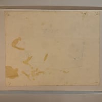 Image 2 of 1981 hand colored Spaulding & Roger’s production flash flowers 11x14 