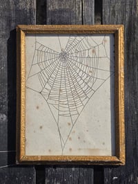 Image 3 of Antique book page - 1800s - Web directly on the page  - 2