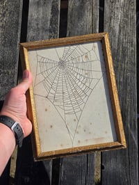 Image 4 of Antique book page - 1800s - Web directly on the page  - 2