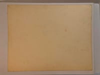 Image 2 of 1982 Spider Webb production flash sheet bird skull and rose 11x14