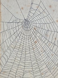 Image 2 of Antique book page - 1800s - Web directly on the page  -1