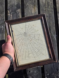 Image 3 of Antique book page - 1800s - Web directly on the page  -1