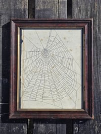 Image 4 of Antique book page - 1800s - Web directly on the page  -1