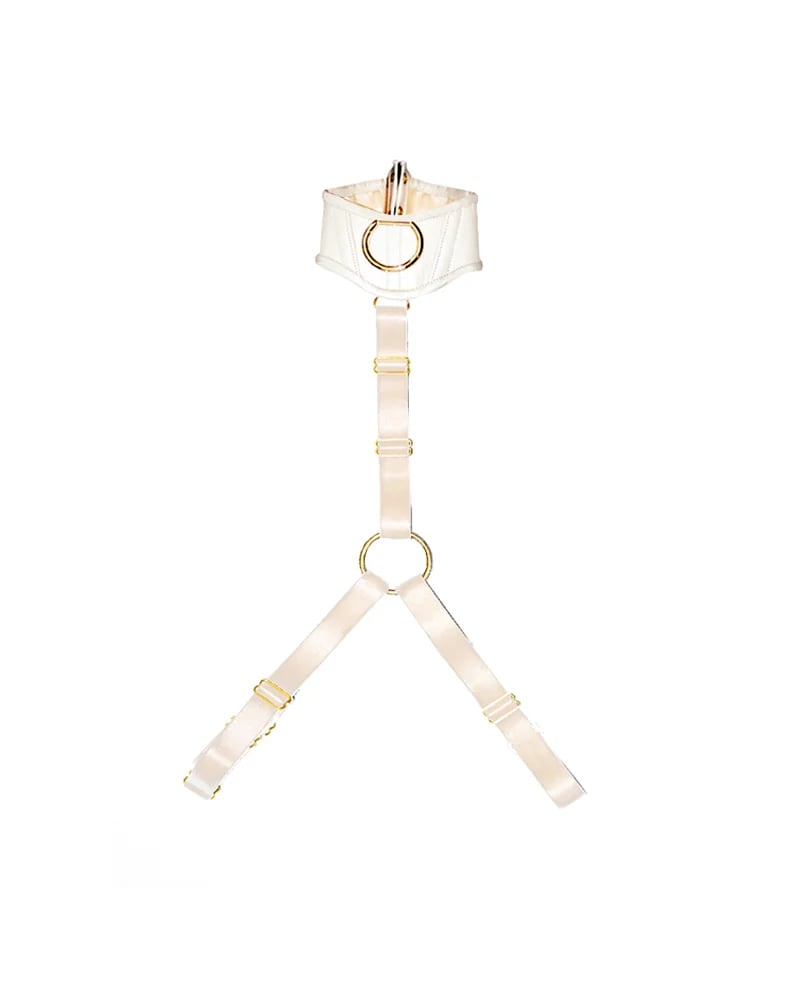 Image of CANICE -HARNESS- LEATHER
