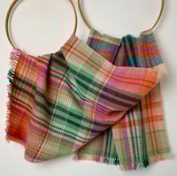 Image 1 of Brykedhennow (Apricot)