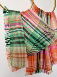 Image 4 of Brykedhennow (Apricot)