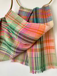 Image 5 of Brykedhennow (Apricot)