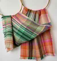 Image 3 of Brykedhennow (Apricot)