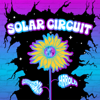 Image 2 of Solar Circuit Print 12/13/25