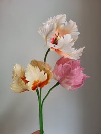 Image 2 of Parrot Tulip Paper Flower Tutorial