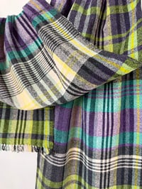 Image 5 of Derowenn Lorwydh (Laurel Oak)