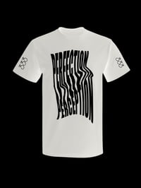 Image 3 of PERFECTION IS PERCEPTION 333