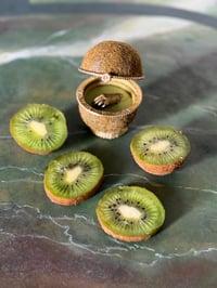Image 1 of Écrin kiwi 