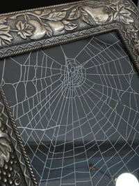 Image 2 of Silver metal ornate detail framed preserved web
