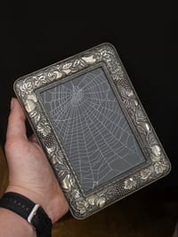 Image 1 of Silver metal ornate detail framed preserved web