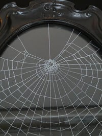 Image 2 of Large Ornate black framed preserved web