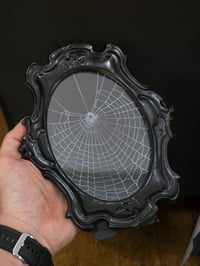 Image 1 of Large Ornate black framed preserved web