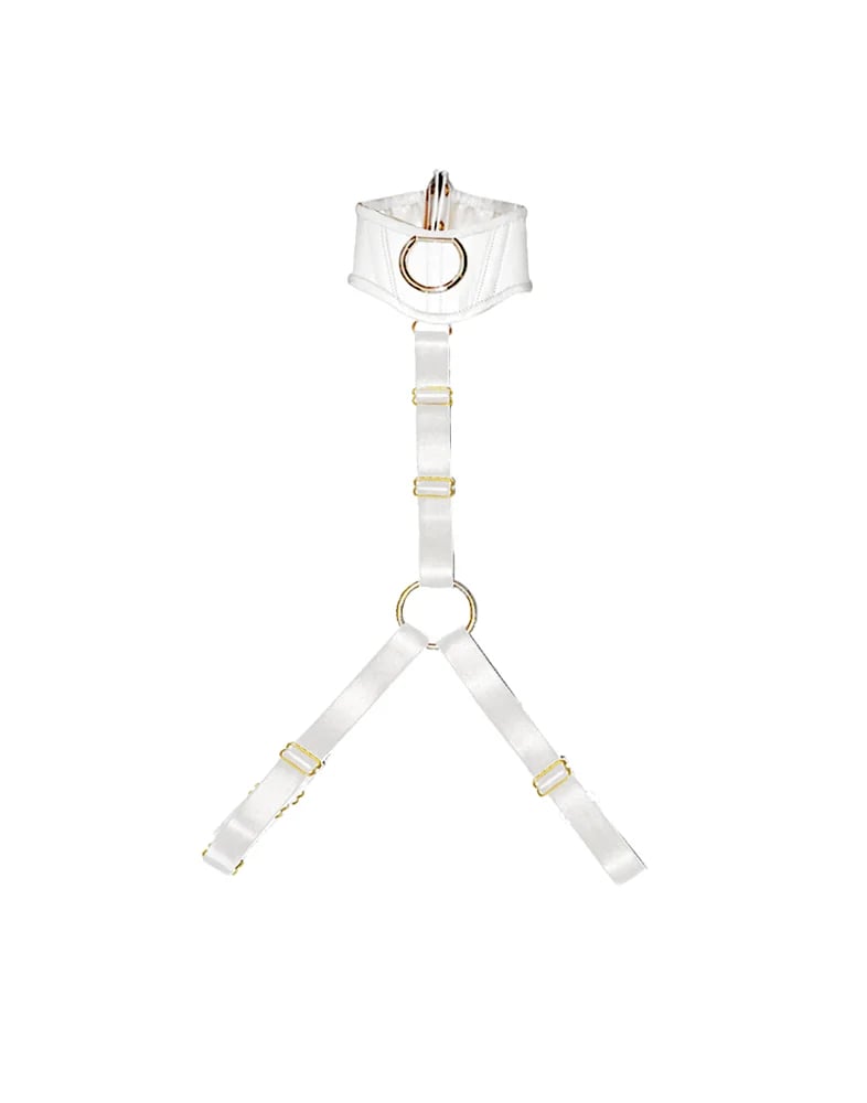 Image of CANICE -HARNESS- LEATHER