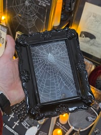 Image 1 of Black Skull corner framed preserved web