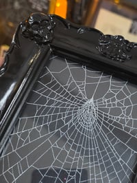 Image 2 of Black Skull corner framed preserved web