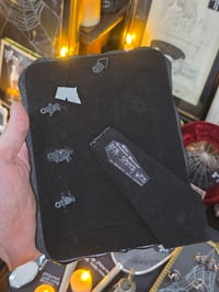 Image 4 of Black Skull corner framed preserved web