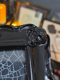 Image 3 of Black Skull corner framed preserved web