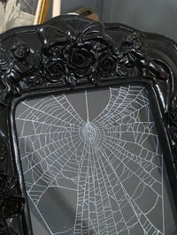 Image 2 of Black Rose ornate detail framed preserved web