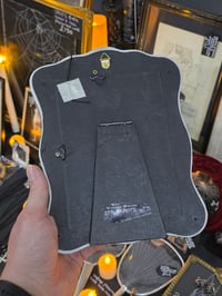 Image 3 of Black Rose ornate detail framed preserved web